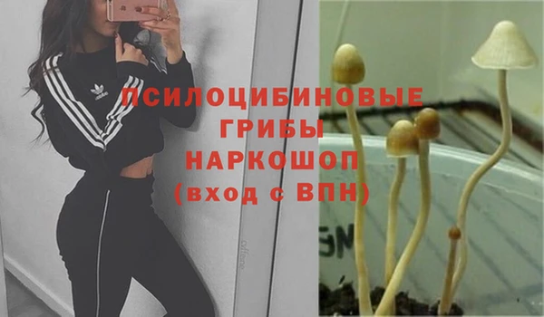 гашиш Алексин